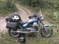 Guzzi