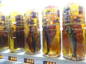 Distributore di zuppa con pesce volante