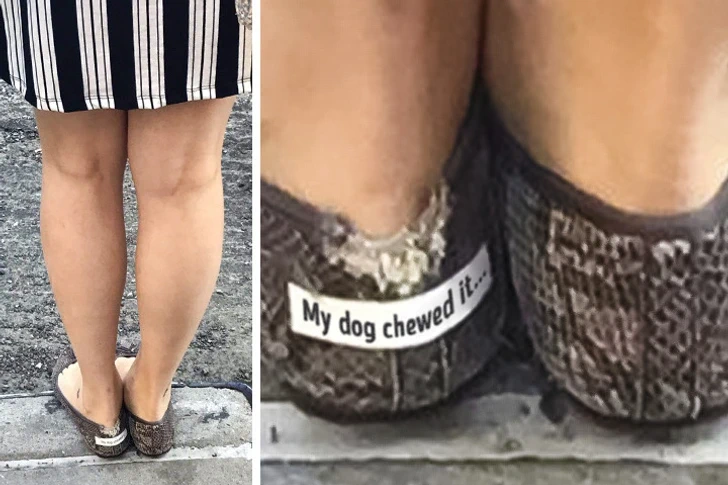 Scarpe masticate dal cane con l'etichetta My dog chewed it